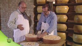 Il Parmigiano Reggiano thumbnail