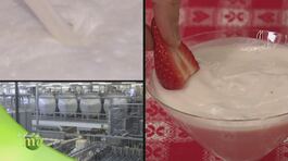 Yogurt Lattebusche thumbnail