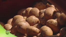Sapori di campagna thumbnail