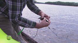 La pesca in Finlandia thumbnail