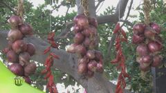 Sapori di Calabria