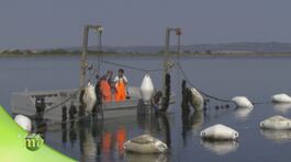 Coltivatori di mare thumbnail