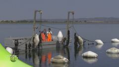 Coltivatori di mare
