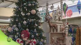 L'albero di Natale thumbnail