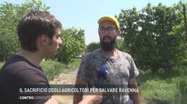 Il sacrificio degli agricoltori per salvare Ravenna thumbnail
