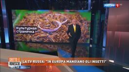 La tv russa: "In Europa mangiano gli insetti" thumbnail