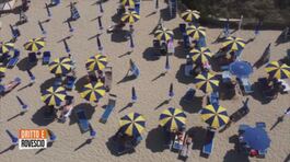 Nella Puglia di Al Bano: "Lavorare d'estate? Meglio il mare" thumbnail