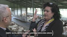 Gli olandesi si ribellano all'ideologia green thumbnail