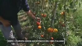 L'Europa green all'attacco del cibo italiano thumbnail