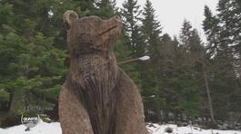 Viaggio in Slovenia, la terra degli orsi thumbnail