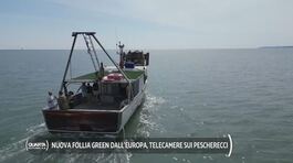Nuova follia green dall'Europa, telecamere sui pescherecci thumbnail