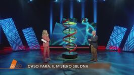 Caso Yara: le tracce di DNA thumbnail