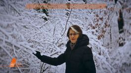 Il giallo di Liliana Resinovich: quando è morta? thumbnail