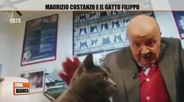 Maurizio Costanzo e il gatto Filippo thumbnail