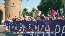 L'onda gay contro il Governo: "L'opposizione siamo noi" thumbnail