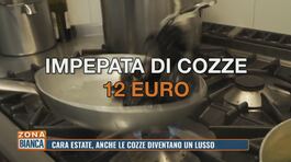 Cara estate, anche le cozze diventano un lusso thumbnail