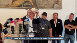 Granchio blu, Zaia: "Il Governo dichiari stato di emergenza" thumbnail