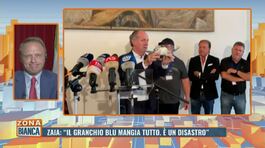 Zaia: "Il granchio blu mangia tutto. E' un disastro" thumbnail