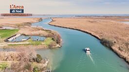Lignano Sabbiadoro, Florida d'Italia thumbnail