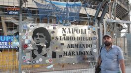 Biodiversità allo stadio Maradona di Napoli thumbnail