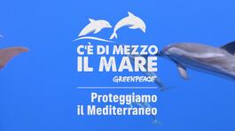 C'è di mezzo il mare - Proteggiamo il Mediterraneo thumbnail