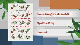Il Can-piello thumbnail