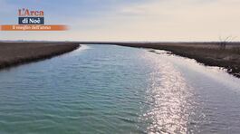 Florida d'Italia thumbnail