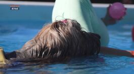 L' educa-cani: lo swim dog sport thumbnail