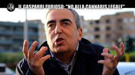 GASTON ZAMA: Il Gasparri furioso: "No alla cannabis legale" thumbnail