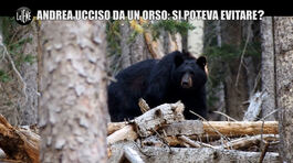 GOLIA: Andrea ucciso da un orso: si poteva evitare? thumbnail