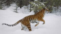 Ep. 1 - Cina occidentale: l'altopiano del Tibet