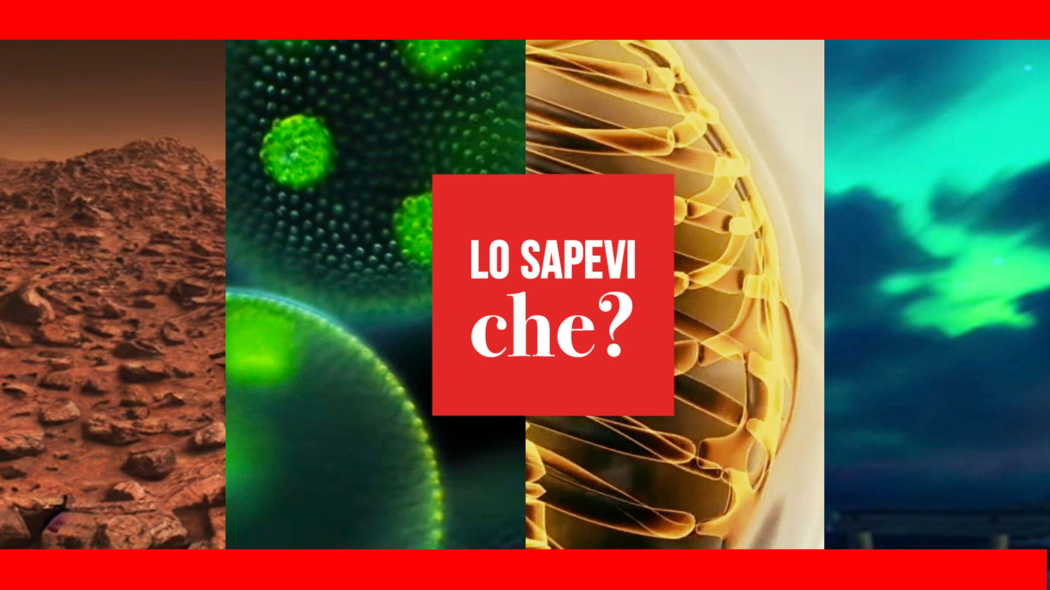 Lo sapevi che?