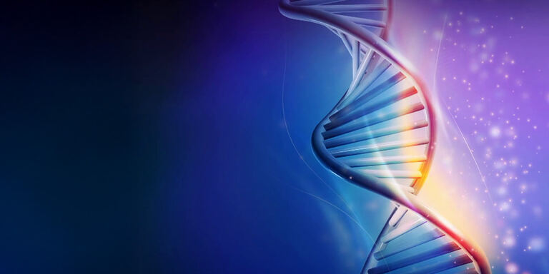 Focus Dna: il codice della vita