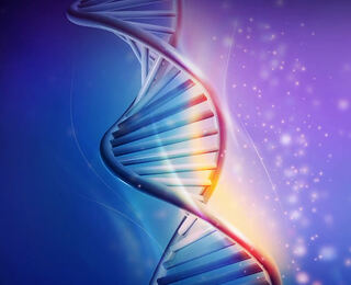 Dna: Il Codice Della Vita