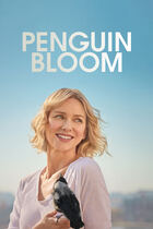 Trailer - Penguin bloom