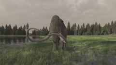 Ep. 3 - I segreti dei mammut giganti