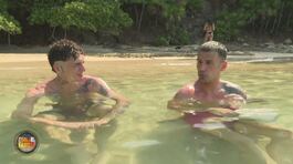 Il Romanzo dell'Isola: la crisi dei Naufraghi thumbnail