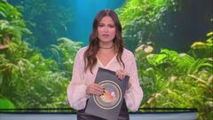 Veronica Gentili: "Ho una laringite acutissima"