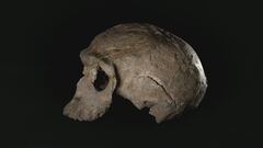 Ep. 1 - Il primo Homo Sapiens