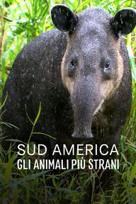 Seconda puntata logo