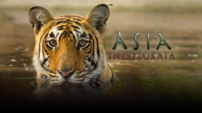Asia inesplorata