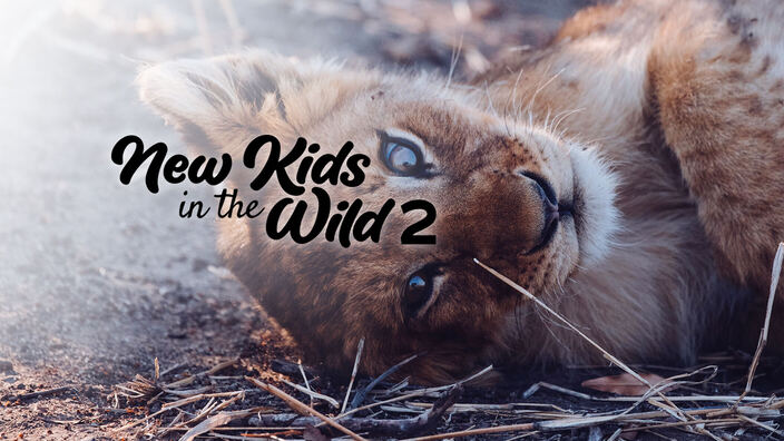 New kids in the wild