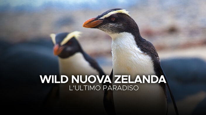Wild Nuova Zelanda: L'ultimo paradiso
