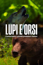 Lupi e orsi: conosciamo i grandi predatori italiani