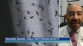 Invasione zanzare, parla l'infettivologo Bassetti thumbnail