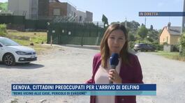Genova, cittadini preoccupati per l'arrivo di Delfino thumbnail