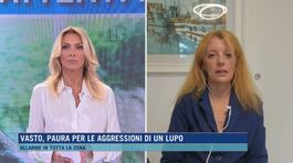 Vasto, paura per le aggressioni di un lupo thumbnail