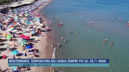 Mediterraneo, temperatura dell'acqua sempre più su: 28.71 gradi thumbnail