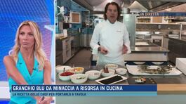 Granchio blu da minaccia a risorsa in cucina thumbnail
