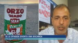 I rifiuti in spiaggia come pezzi da museo thumbnail